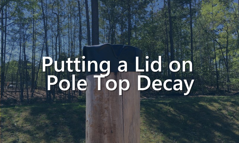 pole topper image